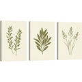 Gavlu Botanical Silhouette Triptych Canvas Set Olive - Product view