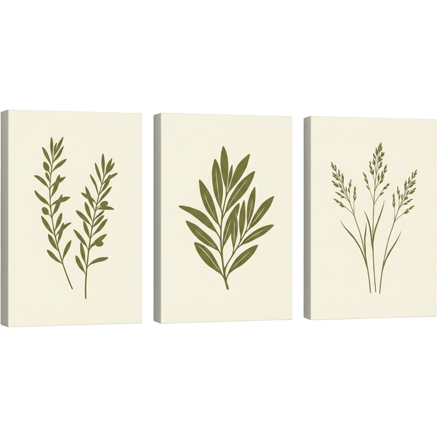 Gavlu Botanical Silhouette Triptych Canvas Set Olive